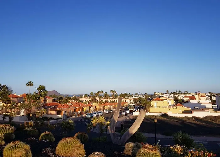 Aloha 公寓 科拉雷侯